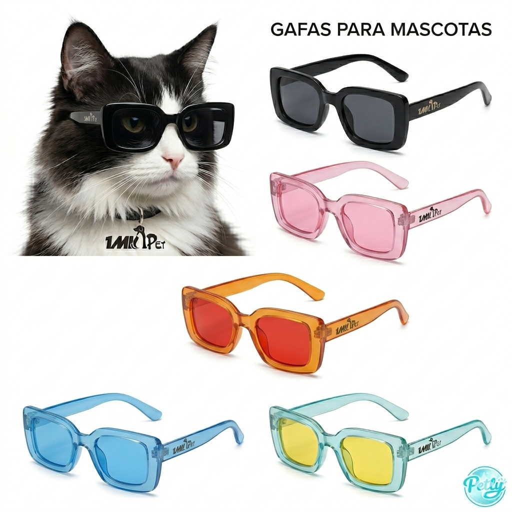 Cat Sunglasses