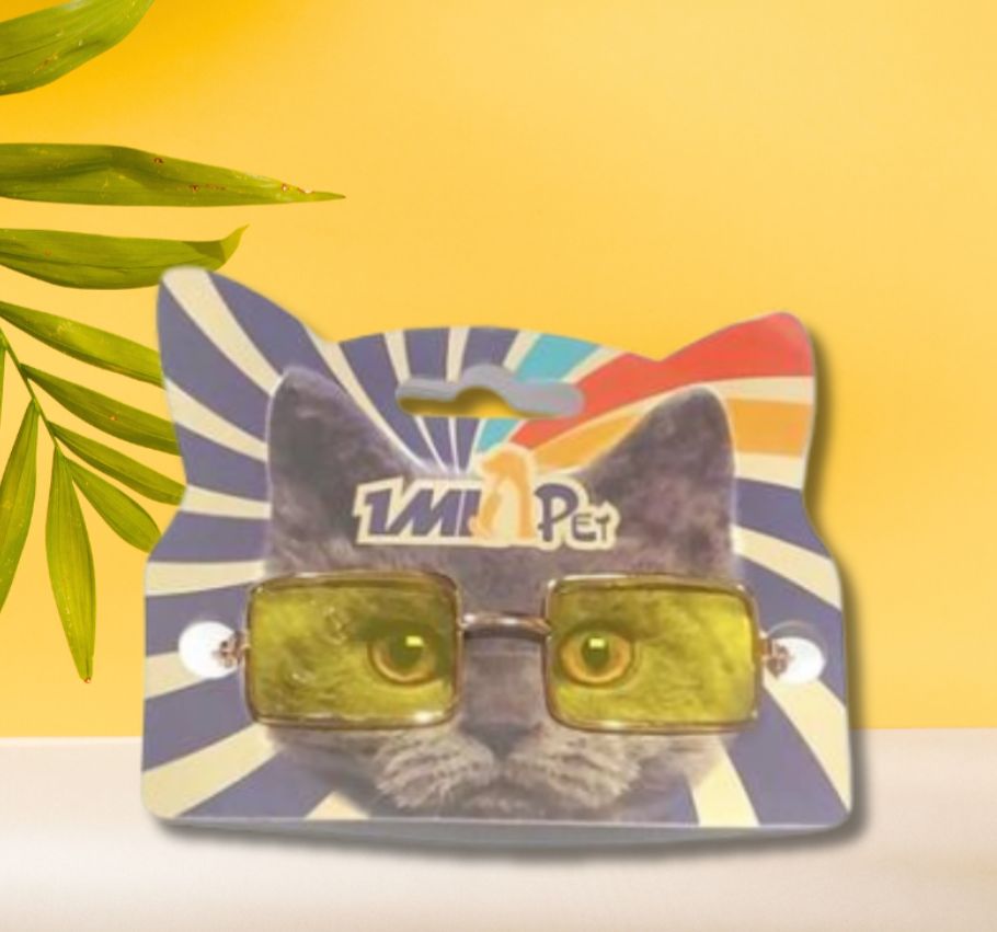 Cat Sunglasses