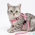 Butterfly-shaped collar and leash for cats