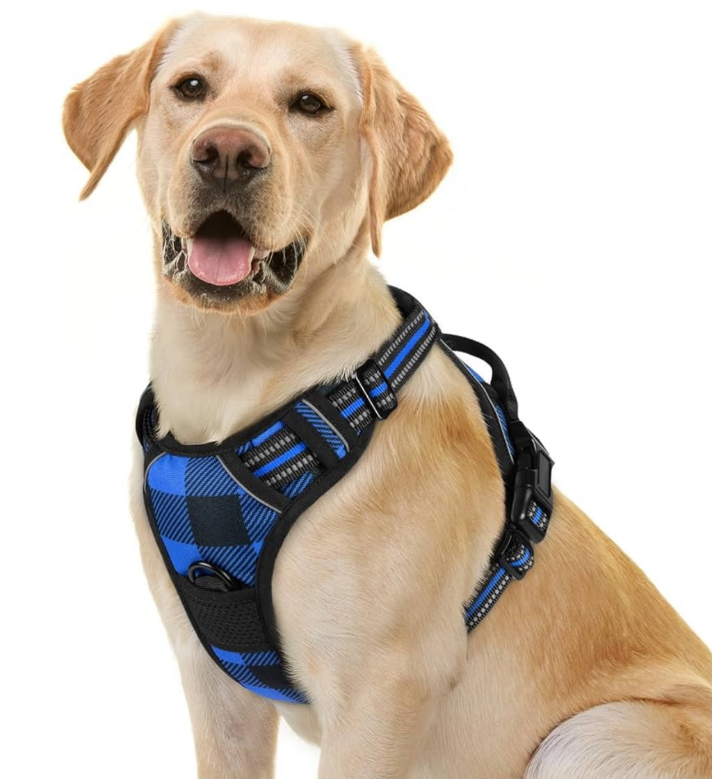 Dog harness