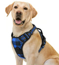 Dog harness
