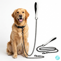 Dog Leash