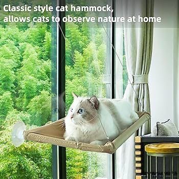Window-Mounted Cat Hammock