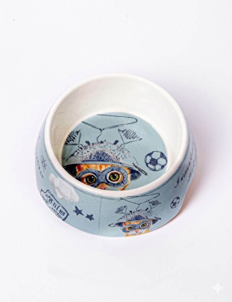Ceramic Pet Bowls
