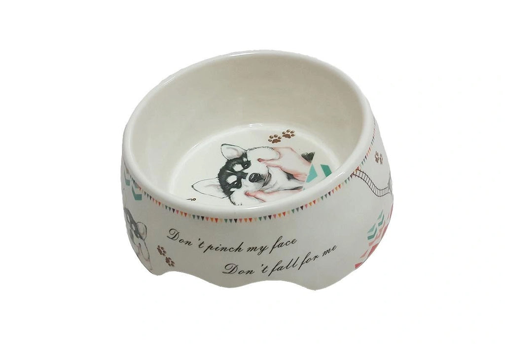 Ceramic Pet Bowls