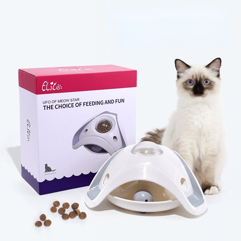 Pet slow feeder and puzzle toy