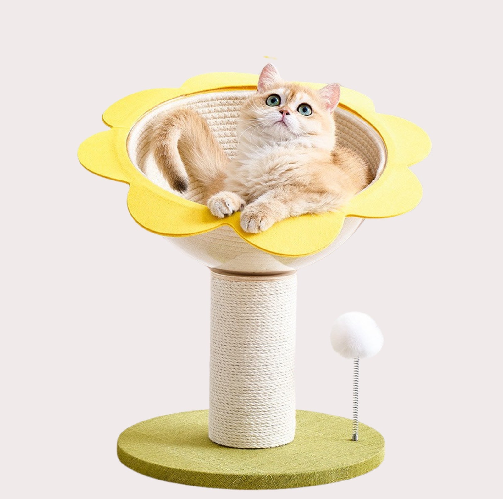 Sunflower Lounging Cat Bed