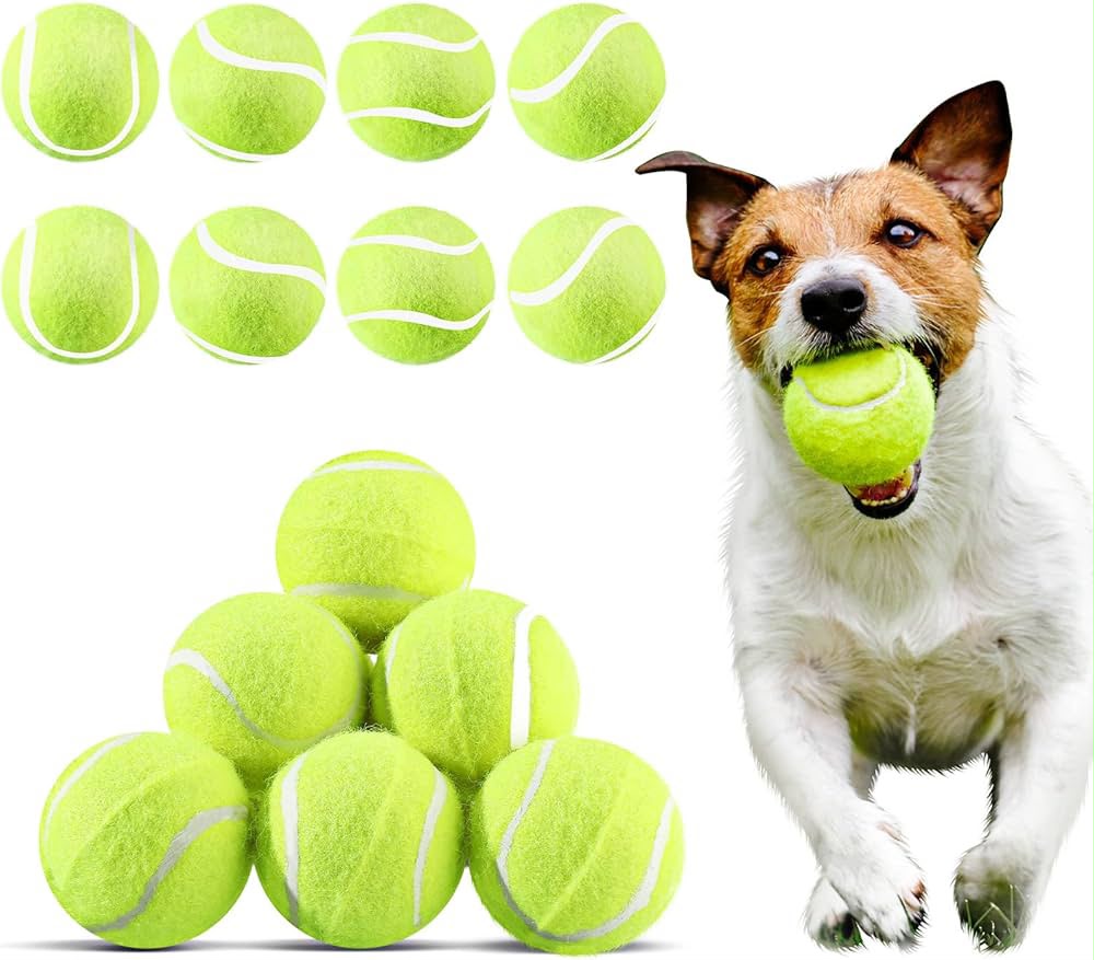 Dog training tennis balls
