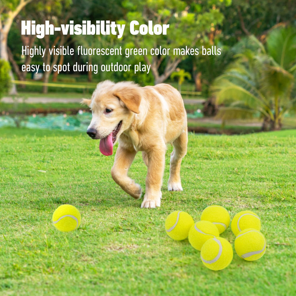 Dog training tennis balls