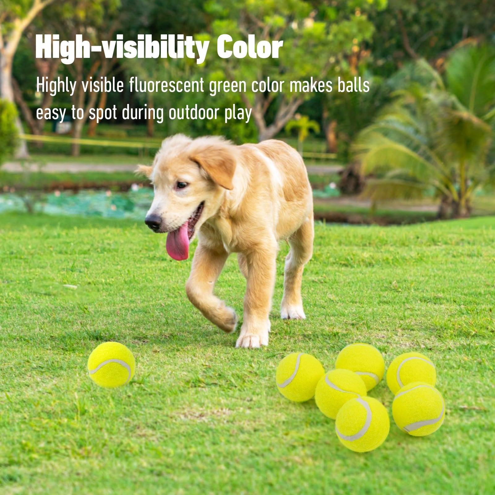 Dog training tennis balls